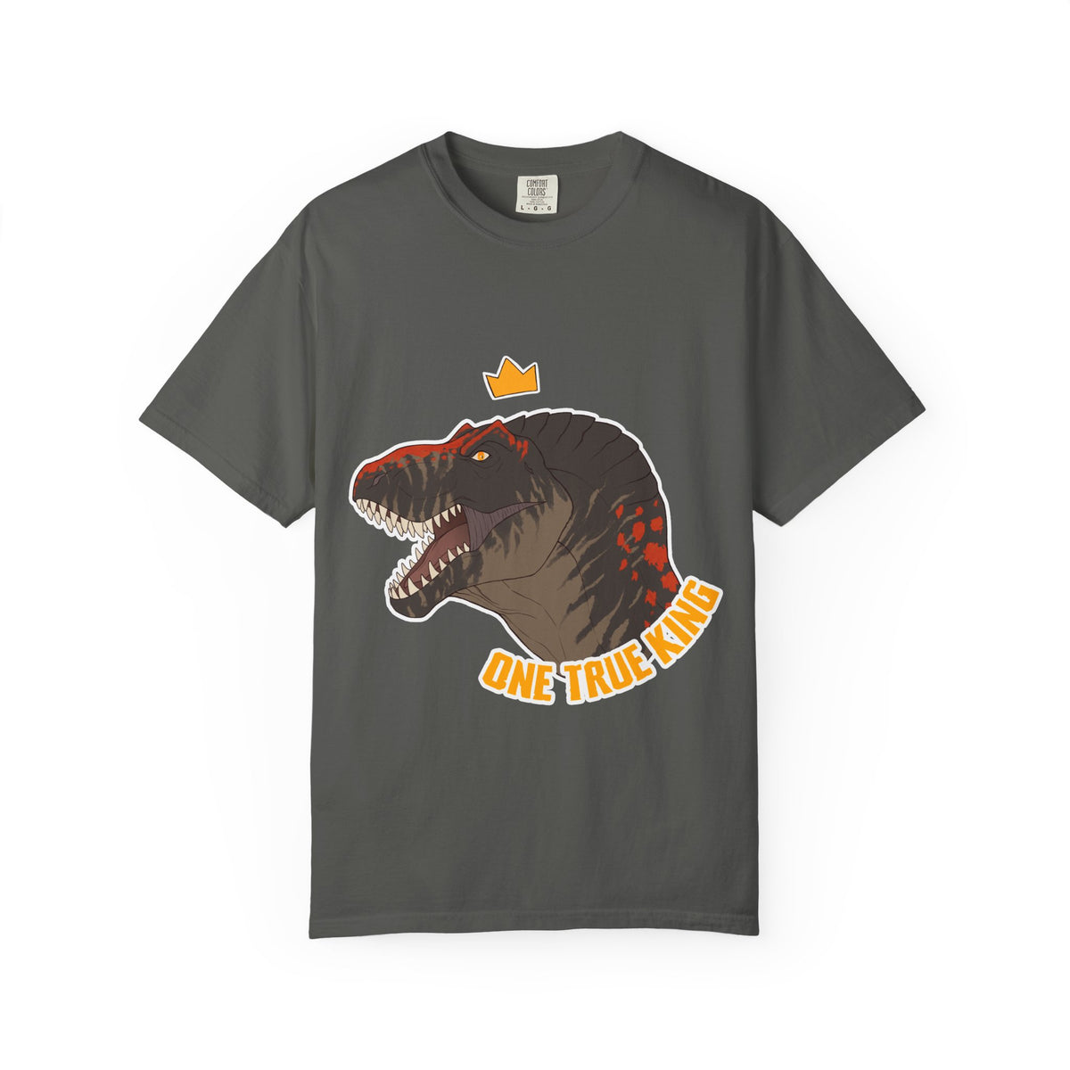 T-Rex T-Shirt | Tyrannosaurus Rex Shirt | Dinosaur Lover Gift | Dinosaur Tee