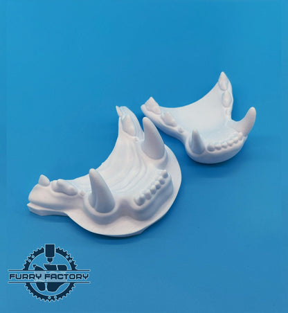 Domestic Cat Fursuit Jaw Set: Small 3D Printed Realistic Feline Teeth
